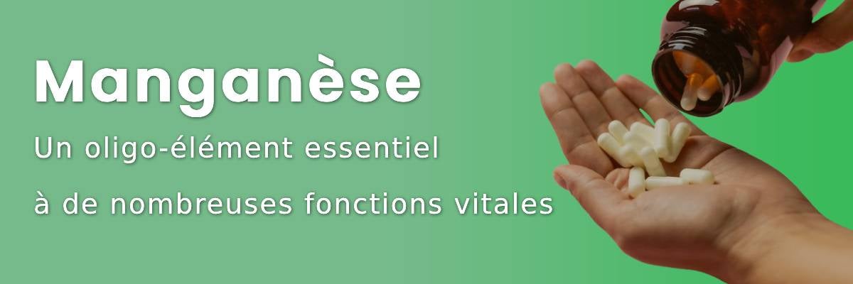 Manganèse : un oligo-élément essentiel à de nombreuses fonctions vitales